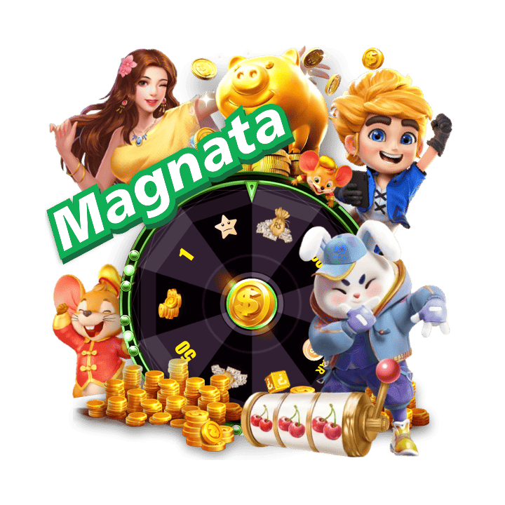 Programa VIP popbra